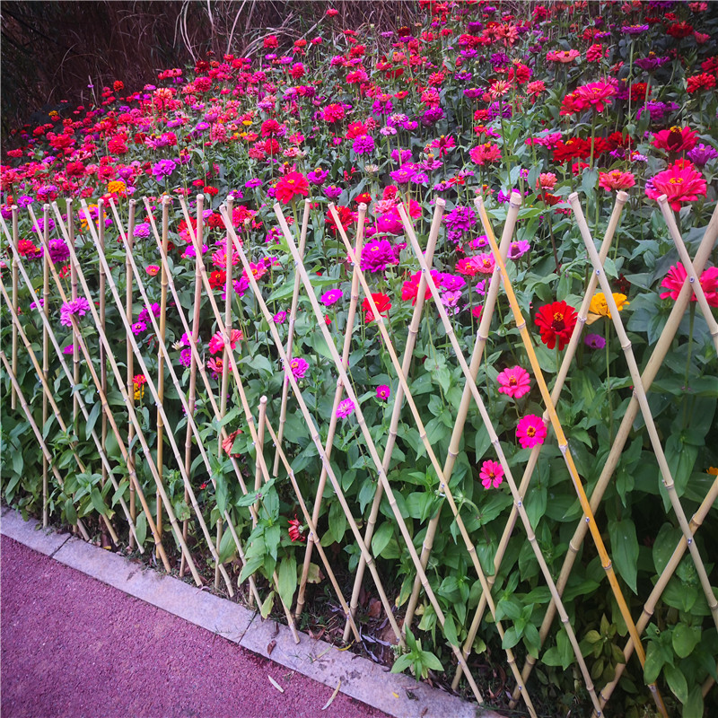 天津大港花园木栅栏篱笆草坪护栏竹篱笆竹子护栏