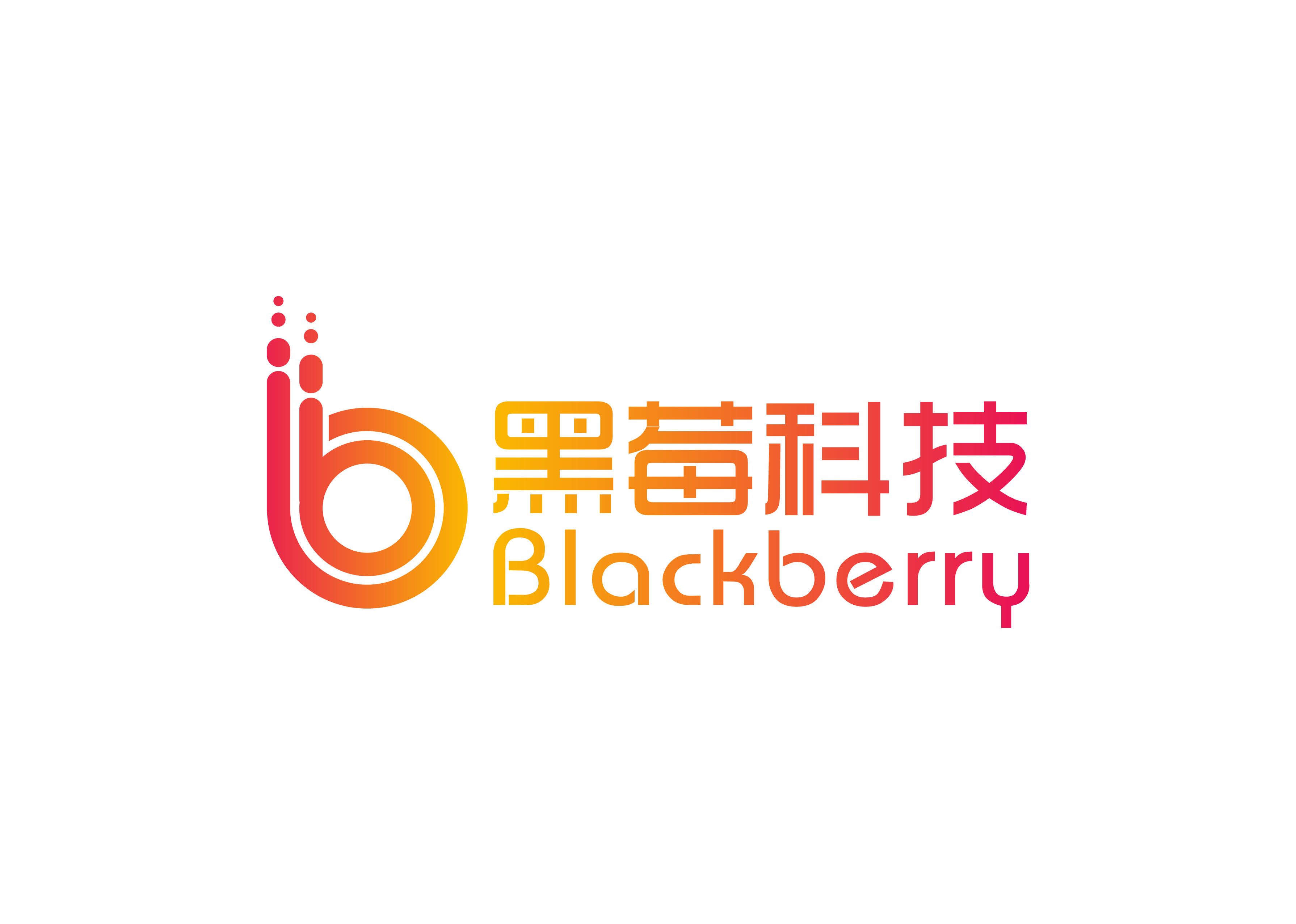 云南黑莓科技有限公司