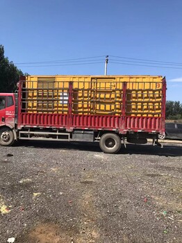 萊州市發(fā)電機租賃，UPS不間斷電源設備出租