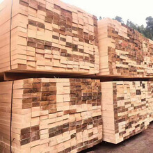 建筑木方厂家大量现货批发供应工地工程方木使用时间长价格实惠图片