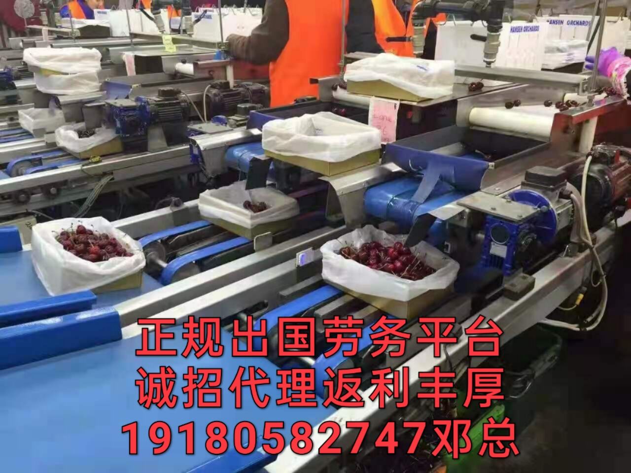 湘东区出国劳务工作普工月薪3万