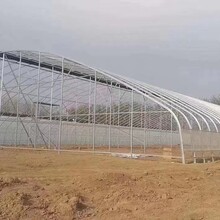 农业温室大棚蔬菜大棚养殖大棚