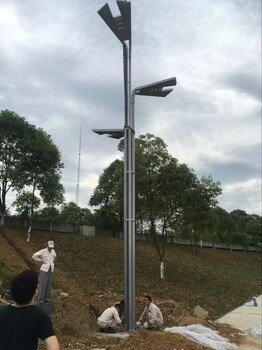 供應(yīng)成都銀杏葉路燈三葉10m12m