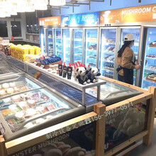 河南超市冰柜冷藏冷冻冰柜定做采购