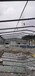 梅州厂房顶棚瓦喷漆施工,多个钢结构搭建工程案例