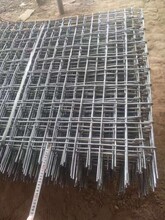 金矿钢筋编织网-焊接编织网1X2米6MM丝100X100mm