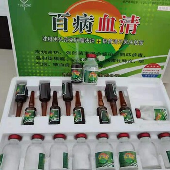 羊蹄甲烂用啥药，羊发烧不吃食怎么办？