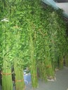 仿真草皮草坪廠家
