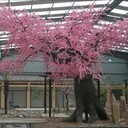 假樹(shù)景觀(guān)樹(shù)制作廠(chǎng)家