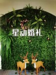 假草坪仿真草坪廠家
