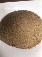 豌豆蛋白粉高植物蛋白替代玉米蛋白粉