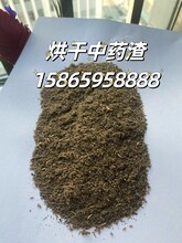 蒸汽烘干中药渣