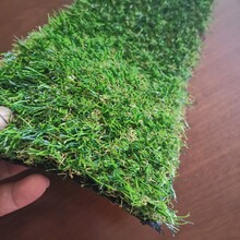 常德市铭邦供应超长质保草坪地毯假草坪
