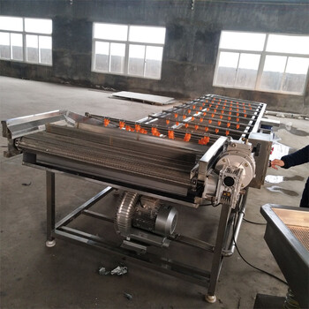 高壓噴淋式蘿卜氣泡清洗機(jī)橙子清洗加工流水線預(yù)制菜加工設(shè)備