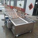西紅柿多功能氣泡清洗機(jī)提升式玉米去須清洗去農(nóng)藥殘留氣泡清洗機(jī)