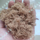 青海生態(tài)基材木纖維無土噴播山體綠化工程