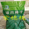 陜西西安銷售護坡耐寒耐旱草種紫穗槐種子量大從優