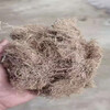 福建福州草纤维矿山修复喷播绿化护坡草纤维