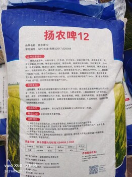 饲料型大麦种子品种