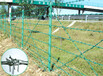 清伊高速刺绳护栏网、刺钢丝网隔离栅、刺铁丝隔离栅公路护栏网