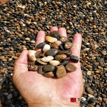 惠州變壓器鵝卵石-雜色鵝卵石生產(chǎn)線廠家-水洗園藝景觀石