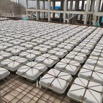 湖南株洲ZXF轻质复合水泥芯模填充体现浇空心楼盖板生产商
