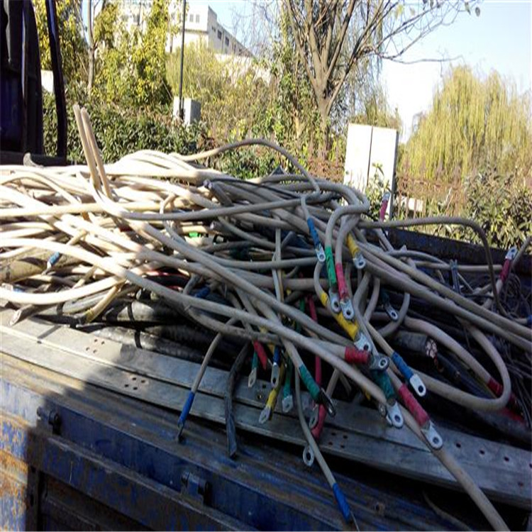 温州起帆电缆回收 本地附近回收电话