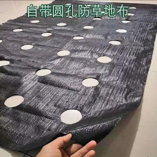 渭南園林蔬菜防草布打孔定做
