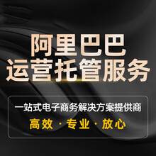 郑州那家办理淘宝阿里巴巴托管运营