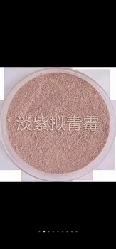 淡紫擬青霉