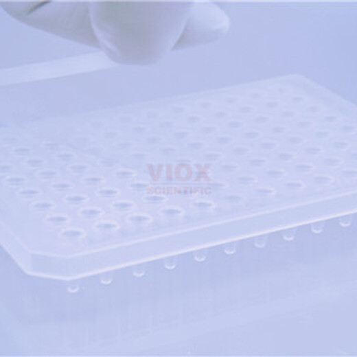 96孔板封膜板/荧光定量PCR光学封板膜