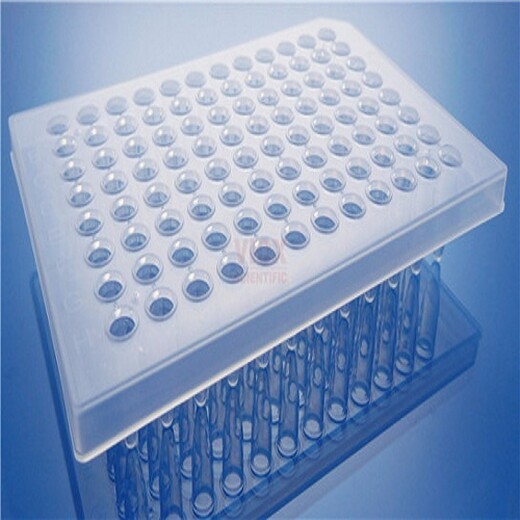 荧光定量pcr96孔PCR板
