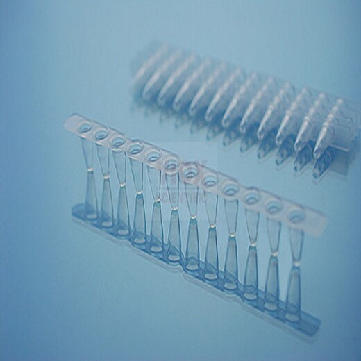 0.2ml透明12联排实时荧光定量PCR管平盖,超薄壁