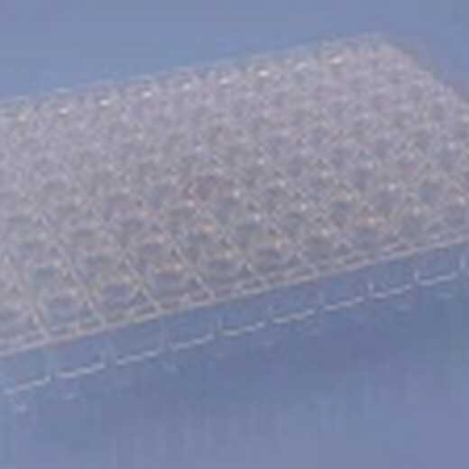 艾本德PCR仪适配透明八联管盖,384/96孔板