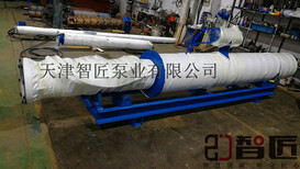 斜式使用潜水泵--天津智匠泵业服务周到图片0