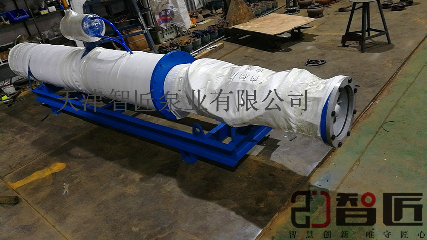 卧用潜水泵--天津智匠泵业款式新颖