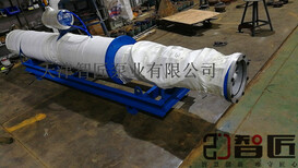 潜水泵售后保障--天津智匠泵业图片0