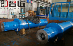 应急排水泵--天津智匠泵业设计合理图片0