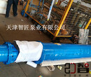 遵化ZJ300QR160-297/11耐高温热水潜水泵智匠泵业QR系列图片