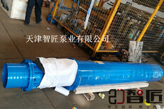 黑龙江热水深井泵服务图片0