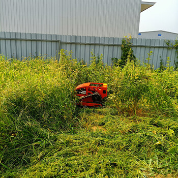 北京草地修剪機(jī)高速公路護(hù)坡除草機(jī)