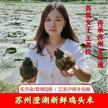 蘇州特產(chǎn)水八仙純手撥新鮮雞頭米禮盒裝圖片