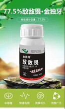 金独牙