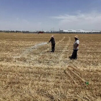 杭州土壤改良工程多功能复合微生物制剂