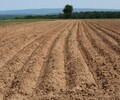 呼伦贝尔环境修复工程土壤增活有机基质