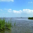 石家莊黑臭水體治理河道底泥改良劑