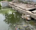 安慶城市河道生態治理微生物底質改良劑
