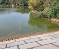 南京河道綠藻水體凈化中性無機凝集劑