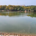 青島河道原位修復微生物底質改良劑