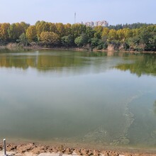重慶河道底泥質量改善復合微生物菌劑圖片